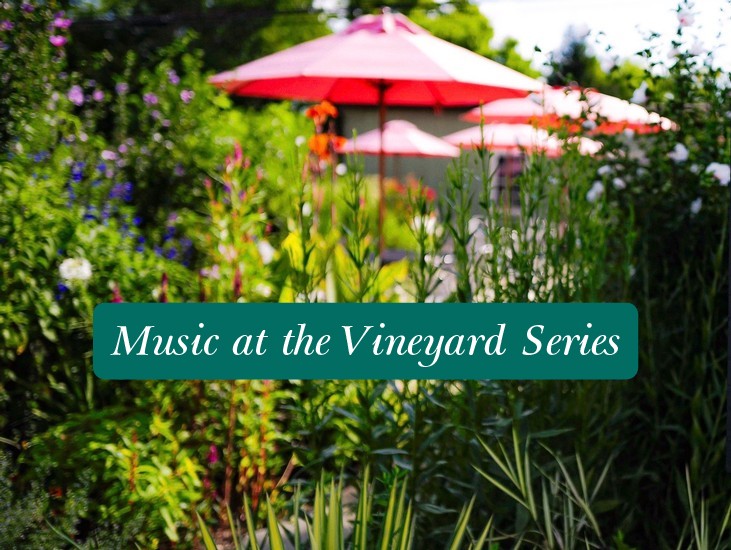 Music at the Vineyard